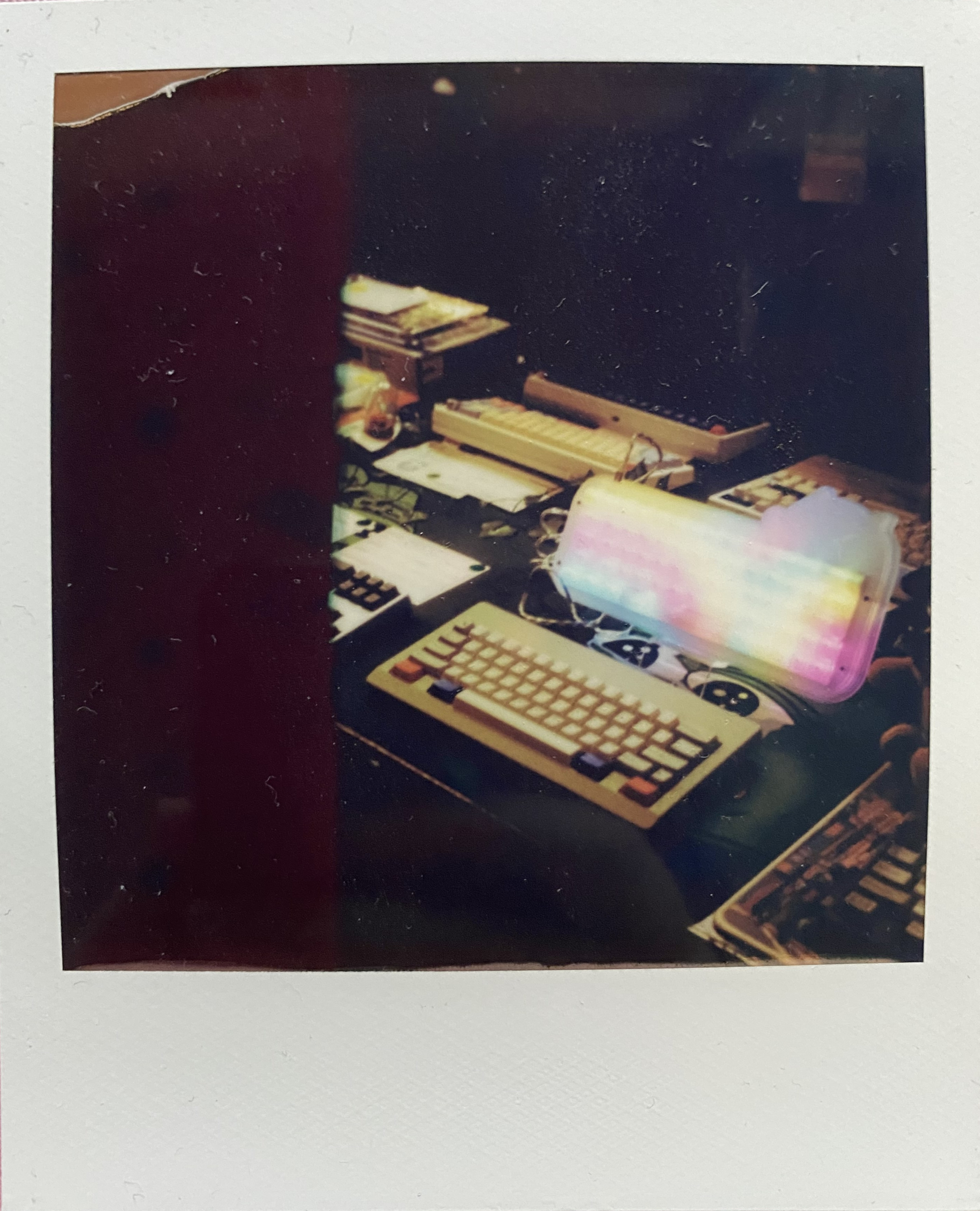 polaroid